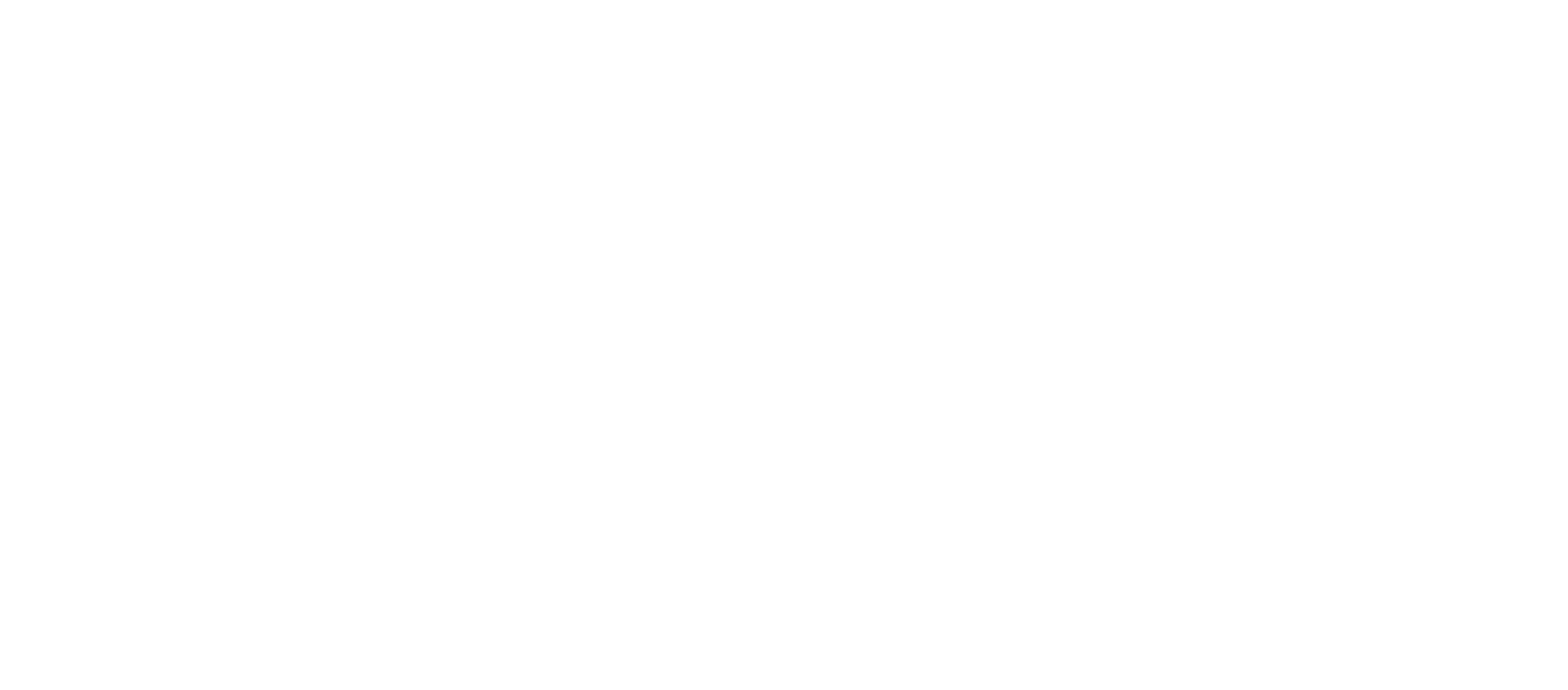 Brave Testimony Logo