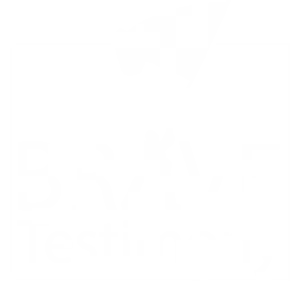 Brave Testimony